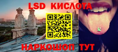 гидра Будённовск