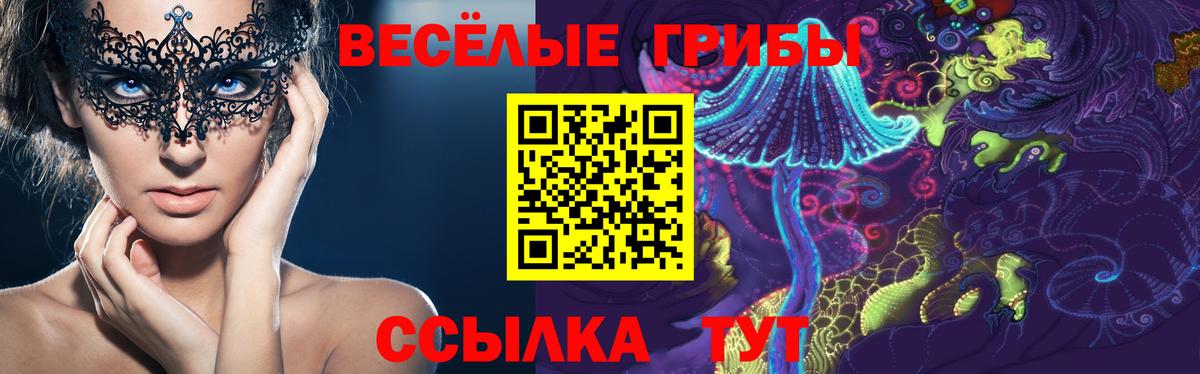 Галлюциногенные грибы мицелий  Вход с VPN  Рыбинск 