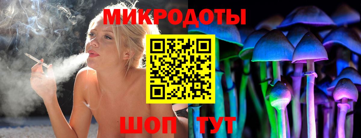 Псилоцибиновые грибы Psilocybine cubensis Рыбинск